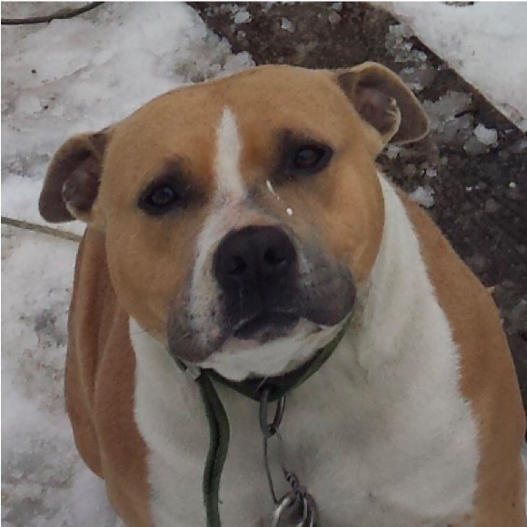 Meet your Posher, Matt - Picture 1 of 1